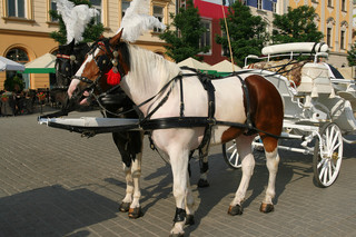 Sehenswrdigkeiten Polen