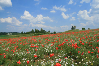 Ferienideen in Polen